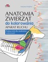 Анатомия животных для раскраски. Аппарат движения.