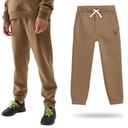 ДЕТСКИЕ СПОРТИВНЫЕ БРЮКИ 4F ДЛЯ МАЛЬЧИКОВ НА КАЖДЫЙ ДЕНЬ