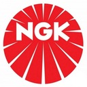 B7HS 5110 СВЕЧА ЗАЖИГАНИЯ NGK (W22FSU)