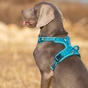 Reflexné postroje pre psa TRUELOVE MODRÁ XL Farba odtiene modrej