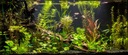 Светодиодная люминесцентная лампа PLANT для растений 150см GROW5:1 для аквариума