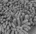 REKAWICA DO МИТТЯ Z MIKROFIBRY СУПЕР CHLONNA  (15876159463) фото min 7