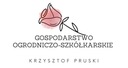 Popínavá ruža STARLET CARMEN Oranžovo Žltý KVETINÁČ C5 Krajina Poľsko