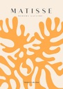 МАТИСС Оранжевый оранжевый ПОСТЕР 50x70см #624