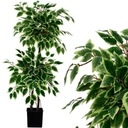 ДЕРЕВО ДЕРЕВО РАСТЕНИЕ ИСКУССТВЕННЫЕ ЦВЕТЫ КОМПОЗИЦИЯ ЛИСТ БЕНДЖАМИН ЦВЕТОЧНЫЙ ГОРШОК 150