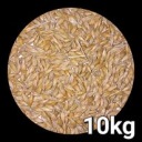 Зерно ячменя, кормовое