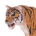 2 kusy realistický sibírsky tiger voľne žijúce zviera Typ sada