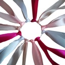 КОЛЬЦО С 24 ЛЕНТАМИ