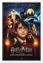 Plakat Harry Potter 20 Years Movie Magic 61x91,5cm Stan opakowania oryginalne