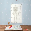 SZKIELET CZŁOWIEKA – tablica edukacyjna