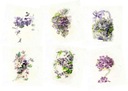 НАБОР РИСОВОЙ БУМАГИ И Т.Д. RSM076 цветы,фиалки.