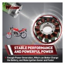 ALLECTO - STATOR - 12 SPOEL - HIGH QUALITIES - ENGINE  photo 5