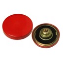 КРЫШКА ТОПЛИВОНАЛИВНОЙ ЗАКАВКИ MF3 255 1876534M91