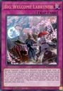 Ю-Ги-О! TCG: Большой приветственный лабиринт (PHHY)
