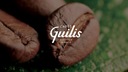 Кофейные зерна от обжарочной мастерской Cafes Guilis MEZCLA ESPECIAL + MEZCLA GRANO DE ORO