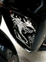 SUZUKI VZR M1800R PROTECTION RADIATEUR (NIESTANDARDOWY ÉCHANTILLON NAJLEPSZE LOGO CENOWE)photo 14