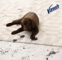 Čistiaca pena VANISH Pet Expert na pranie 600ml EAN (GTIN) 6096344787770