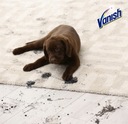 VANISH Pet Expert 500 Спрей для чистки ковров