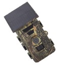 Полювання 8K 60Mp