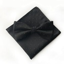 Мужской галстук-бабочка и черный нагрудный платок с серебряными точками