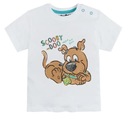 COOL CLUB Chlapčenský set, tričko + kraťasy Scooby-Doo roz 74 cm Značka Cool Club
