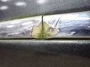 DOOR LEFT PERID AUDI A8 S8 D3 5.2 4E0831553H VERSION SHORT  photo 9