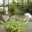Устройство для полива «Houseplant Nurse»
