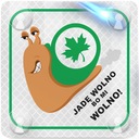 GREEN LEAF ДЛЯ НАЧИНАЮЩИХ ВОДИТЕЛЕЙ REFLECTIVE