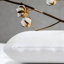 Стандартная наволочка Hilding Visco