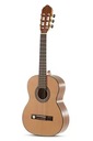 Классическая гитара GEWA Pro Arte Maestro Linkshänder C