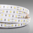 Светодиодная лента 12V REGULAR 120led/m холодный белый 1м