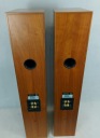 Tannoy Revolution R3 - динамики