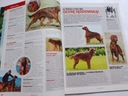 Журнал Friend Dog Ирландский сеттер №9, сентябрь 2012 г.