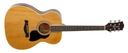 Akustická gitara RICHWOOD RA-12 (NT) Kód výrobcu RA-12 NAT