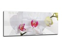 Стеклянная панель Lacobel для кухни 125х50 цветок.