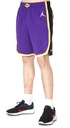 Шорты Nike Jordan НБА Лос-Анджелес Лейкерс Swingman CV9564504 XXL
