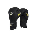 Боксерские перчатки StormCloud Boxing Pro, 12 унций
