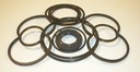REXROTH 1PF2G2 SERIES 4X SEALKIT**