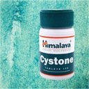 HIMALAYA CYSTONE 100t ПОЧКИ МОЧЕВОЙ СИСТЕМЫ