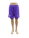 M1684 ФУТБОЛЬНЫЕ ШОРТЫ МУЖСКИЕ С PUMA L. L