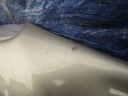 CAPOT COUVERCLE MOTEUR ALFA ROMEO 159 COULEUR 651photo 12
