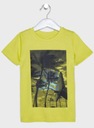 NAME IT t-shirt chłopięcy 92 *18-24 koszulka PALMY EAN (GTIN) 5713753301427