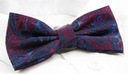 Мужской галстук-бабочка с нагрудным платком Alties — красный и темно-синий