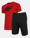 4F КОМПЛЕКТ МУЖСКОЙ ФУТБОЛКИ И ШОРТ