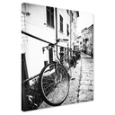 Печать на холсте велосипед черно-белая 70х100