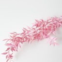 Рускус розовый сушеный Хороший сорт