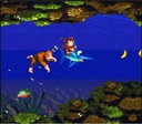 Donkey Kong Country — игра для консоли Nintendo Game boy Color- GBC.