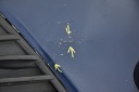 PARE-CHOCS AVANT AVANT FORD FOCUS MK3 IIIphoto 9