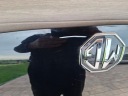 MG5 SW EV RESTYLE HOOD  photo 7