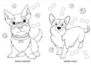 Книжка-раскраска Maluszkowe Рисование маленьких чистокровных собак 2+ Карлик